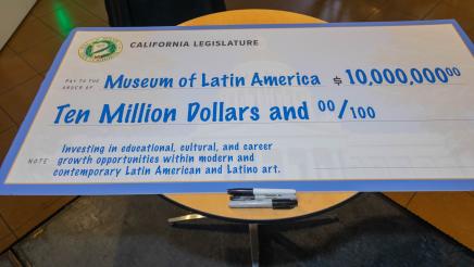 MOLAA Check Presentation