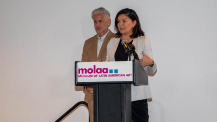 MOLAA Check Presentation