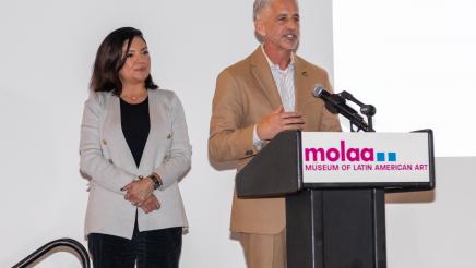 MOLAA Check Presentation