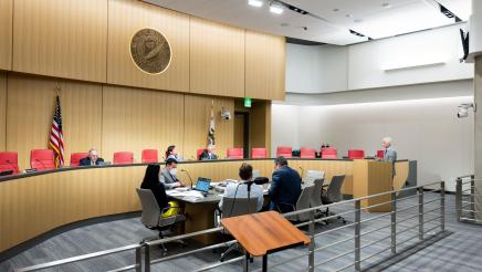 Tonya Martin Senate Governmental Oversight Committee Testimony