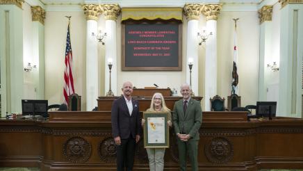 Non-Profit of the Year